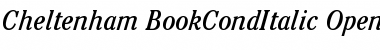 ITC Cheltenham Book Condensed Italic