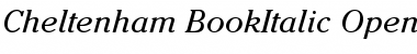 ITC Cheltenham Book Italic Font