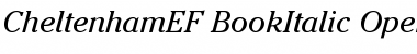 CheltenhamEF-BookItalic Regular Font
