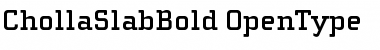 Download ChollaSlab Font