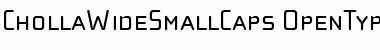 Download ChollaWideSmallCaps Font