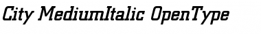 Berthold City Medium Italic Font