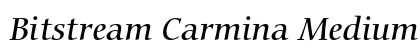 Bitstream Carmina Medium Italic Font Bitstream Carmina Medium Italic Font Preview