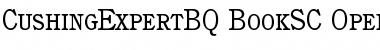 Download Cushing Expert BQ Font