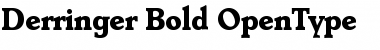 Download Derringer-Bold Font