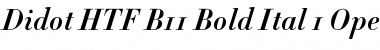 Didot HTF-B11-Bold-Ital Font