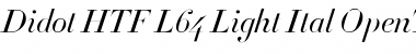 Didot HTF-L64-Light-Ital Font