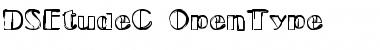 Download DS EtudeC Font