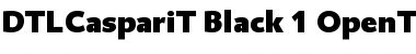 DTL Caspari T Black Font