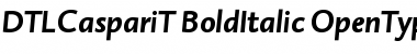 DTLCaspariT BoldItalic Font