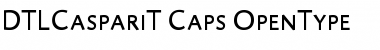 DTL Caspari T Caps Regular