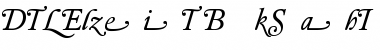 DTL Elzevir T Book Swash Italic Font