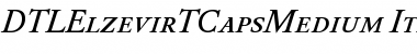 DTLElzevirTCapsMedium Italic Font