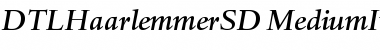DTL Haarlemmer SD Medium Italic Font