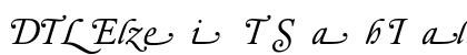 DTL Elzevir T Swash Italic Font DTL Elzevir T Swash Italic Font Preview