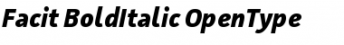 Facit Bold Italic Font