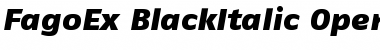 FagoEx BlackItalic Font
