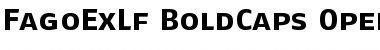 FagoExLf BoldCaps Font