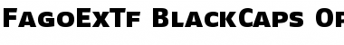 FagoExTf BlackCaps Font
