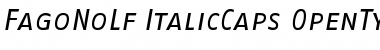 FagoNoLf ItalicCaps
