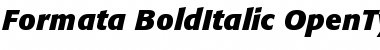 Formata Bold Italic Font
