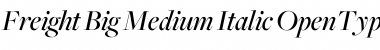 Freight Big Medium Italic Font