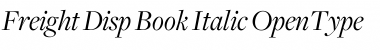 Freight Disp Book Italic Font