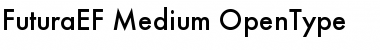 FuturaEF Medium Font