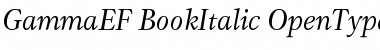 GammaEF BookItalic Font