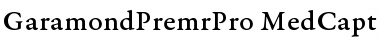 Garamond Premier Pro Medium Caption Font