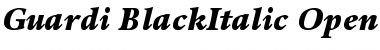 Guardi 96 Black Italic Font