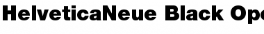Helvetica Neue Regular