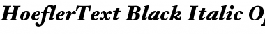 Download HoeflerText-Black-Italic Font
