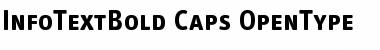 InfoTextBold Caps Font