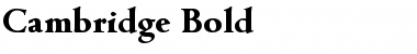 Cambridge-Bold Regular Font