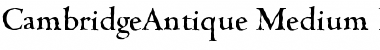 Download CambridgeAntique-Medium Font