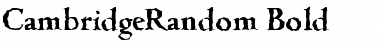 CambridgeRandom Bold Font
