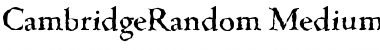 CambridgeRandom-Medium Regular Font