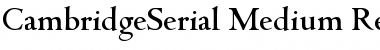 Download CambridgeSerial-Medium Font