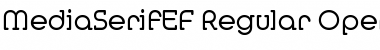MediaSerifEF Regular Font