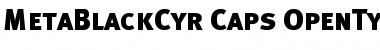 MetaBlackCyr-Caps Regular Font