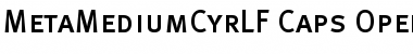 MetaMediumCyrLF-Caps Regular Font