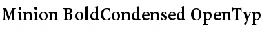 Minion Bold Condensed Font