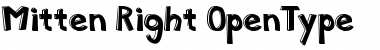 Mitten Right Font