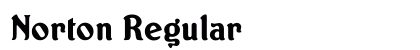 Norton Regular Font Norton Regular Font Preview