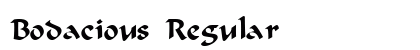 Bodacious Regular Font Bodacious Regular Font Preview
