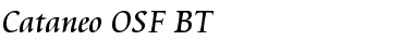 Cataneo OSF BT Regular Font