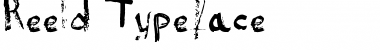 Reeld Typeface Regular Font