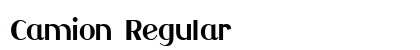 Camion Regular Font Preview Camion Regular Font Preview