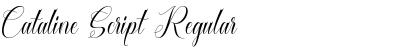Download Cataline Script Font